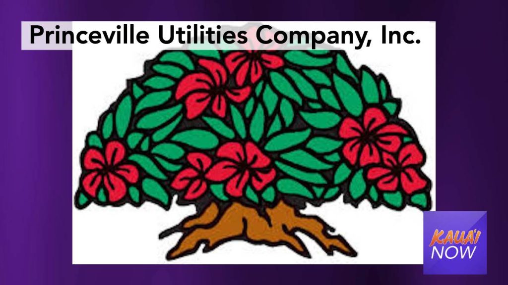 Customers Advised of Water Main Shutoff in Princeville Kauai Now
