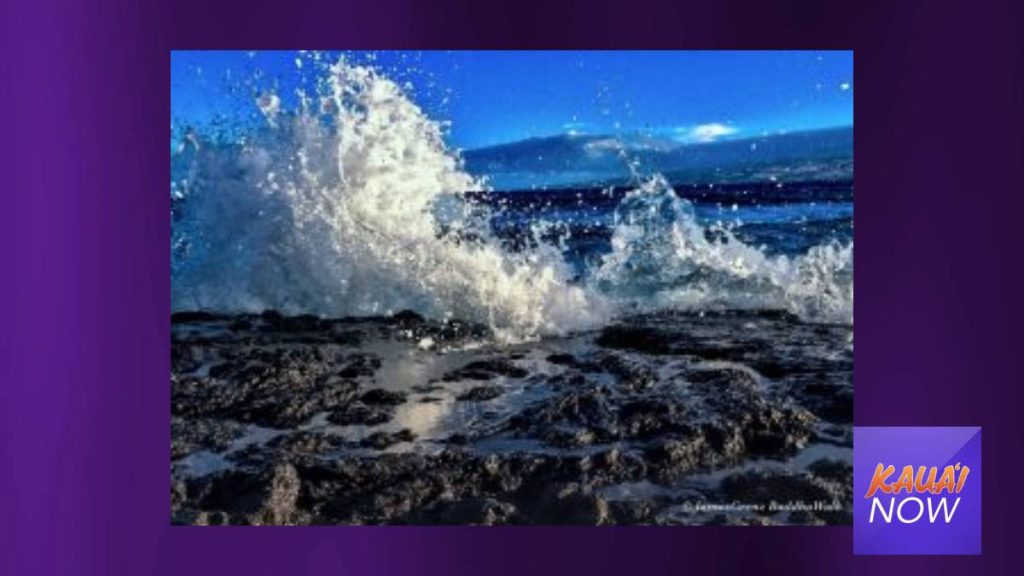 Shark Attack Reported in Maui Waters Kauai Now