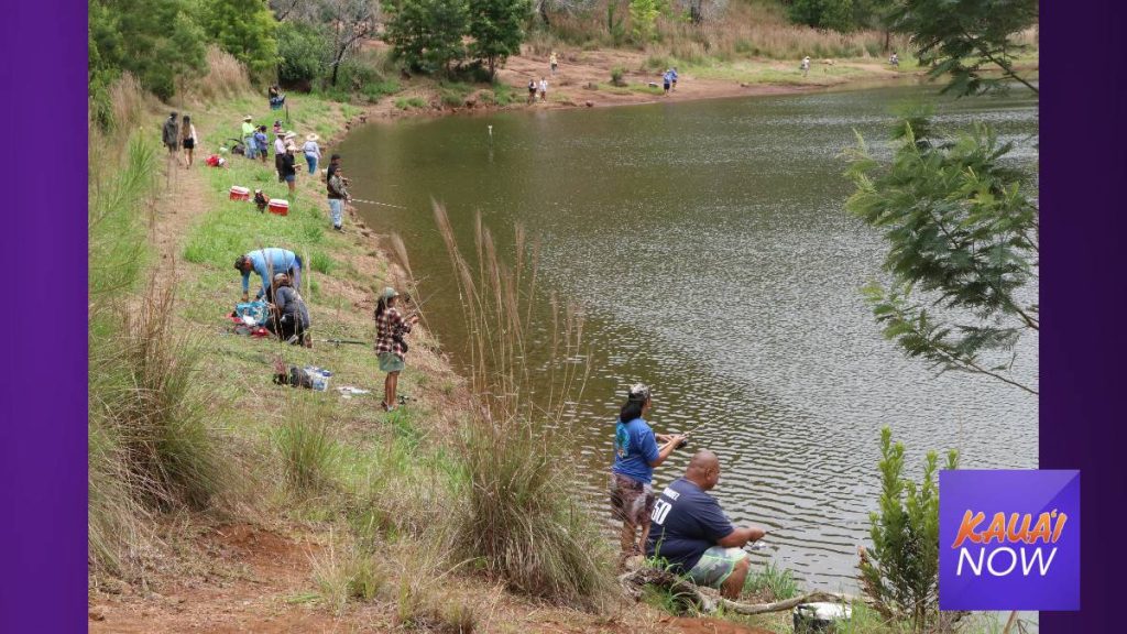 Annual Rainbow Trout Fishing Season Now Open Kauai Now