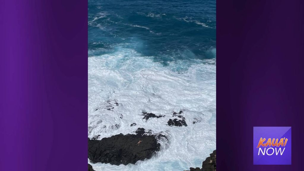 2 Rescued from Queen’s Bath Kauai Now