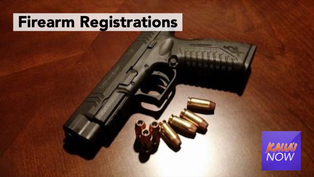 Hawai‘i attorney general’s report shows 21,047 firearm permits issued