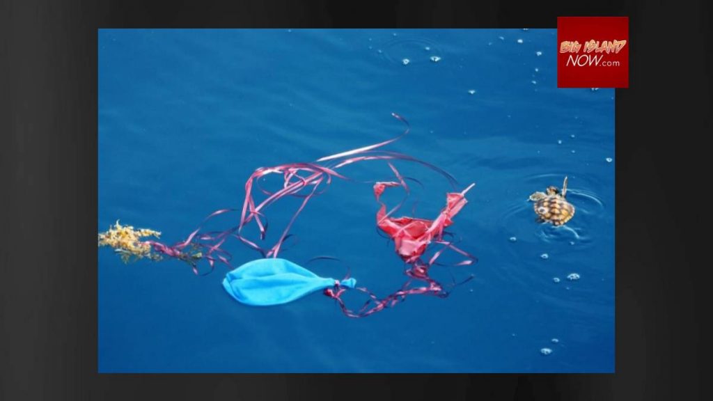 Balloon releases now banned in Hawaiʻi to protect marine life Kauai Now