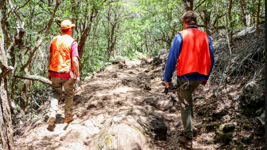 Hawaiʻi hunting licenses, stamps begin to be issued June 15 for 202324