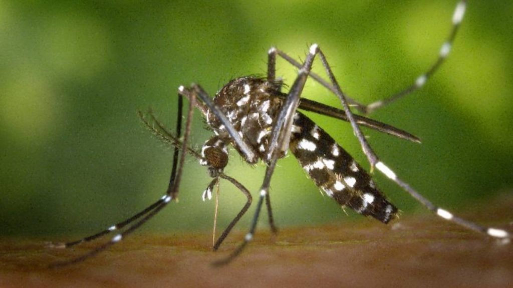 Hawai‘i Department of Health: Travel-related dengue virus case on Oʻahu | Kauai Now