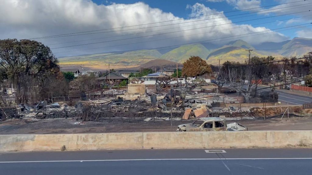 businesses-organizations-send-much-needed-items-to-help-with-maui
