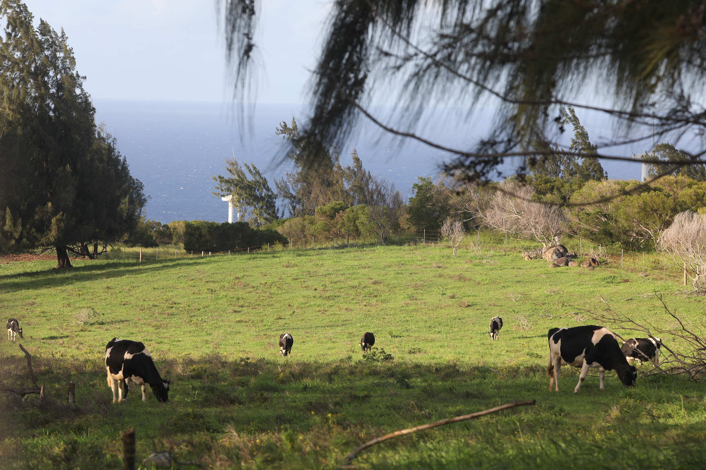 Princeville residents challenge developer over anthrax-contaminated land