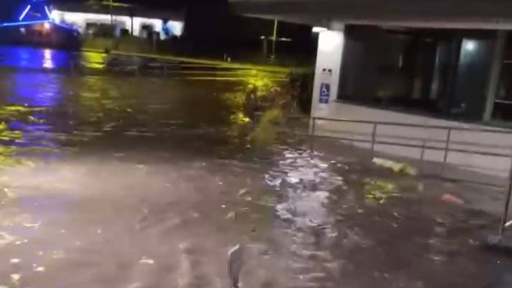 Tsunami warning puts - 