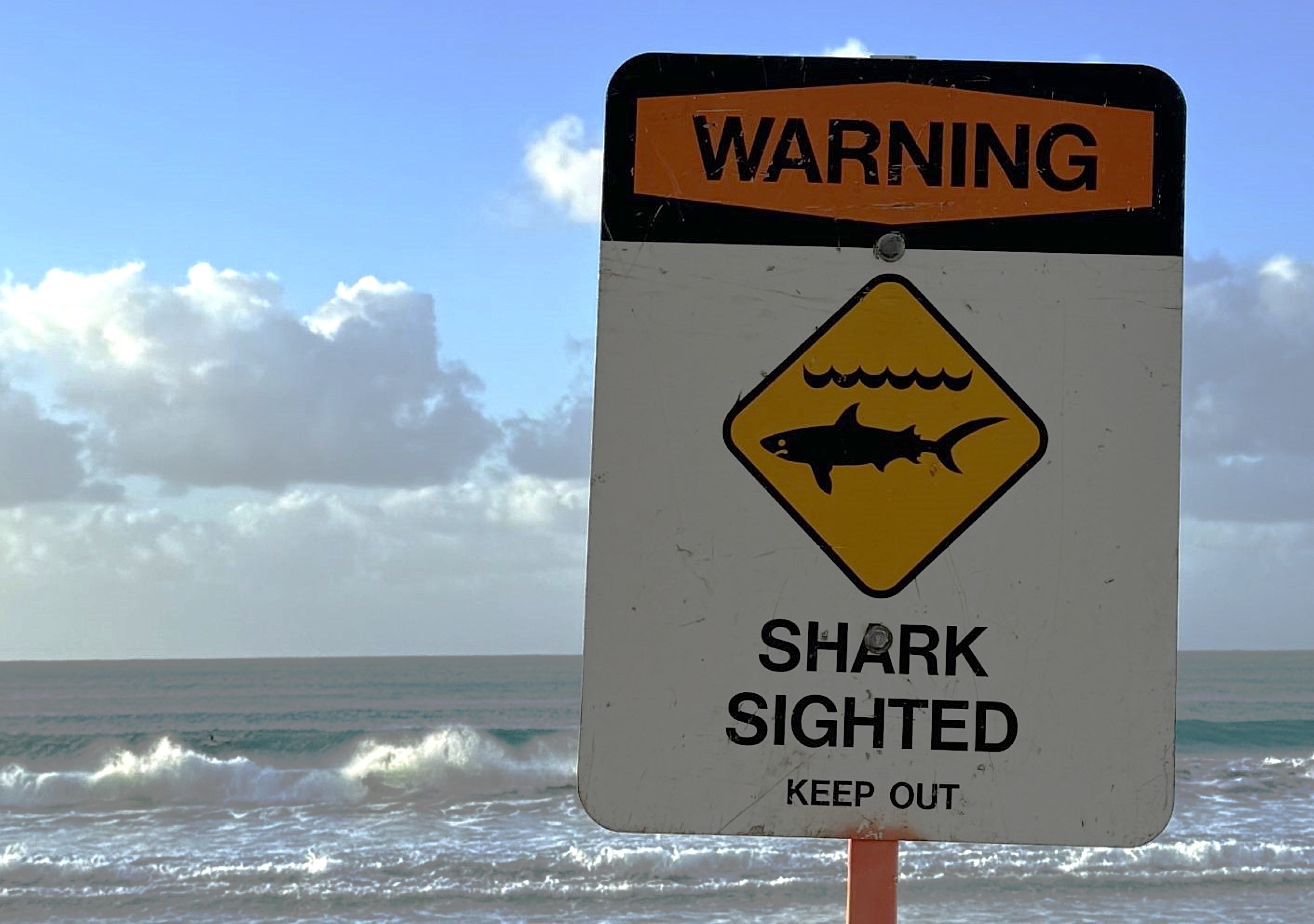 Officials report a shark sighting at Hanalei Bay