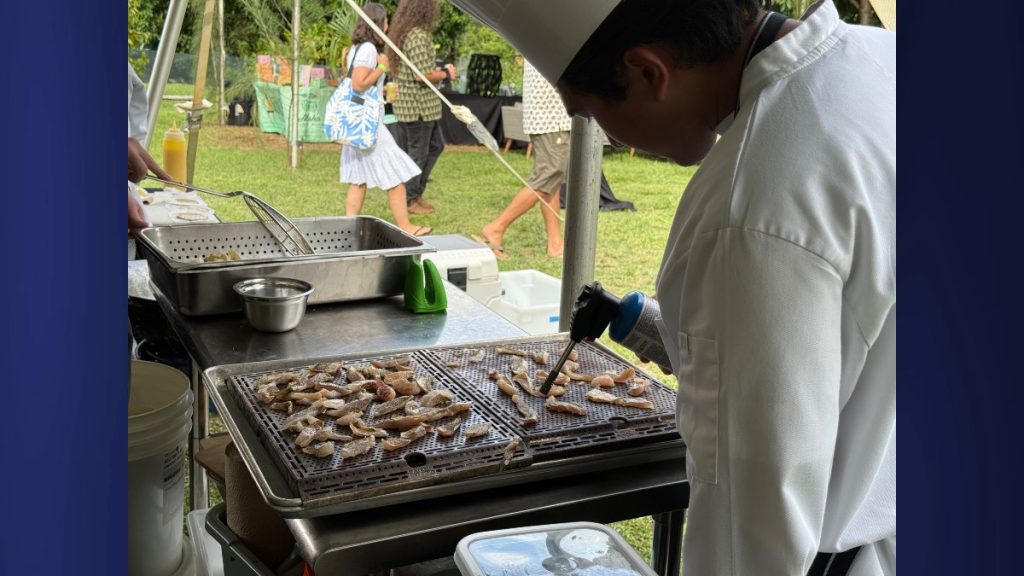 Chefs, with the support of the Kaua‘i Community College Culinary Arts Program brigade, dedicated several hours to preparing dishes for Wāipa’s biennial Eat the Invasives gala fundraiser. (Photo Credit: Xiomara Yamileth/ Kauaʻi Now)