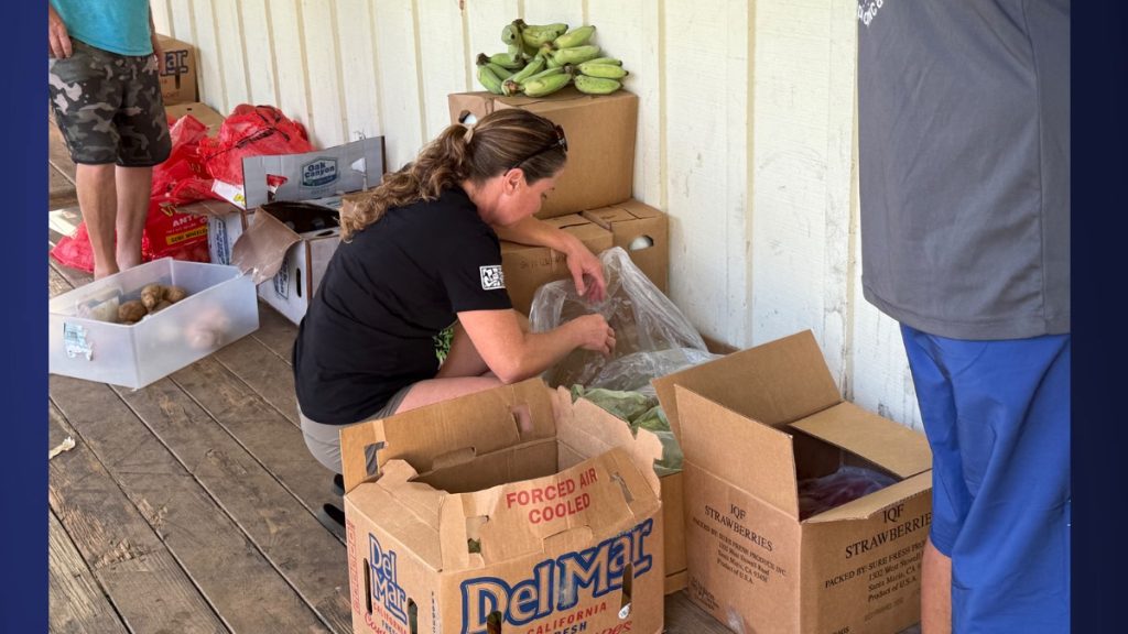 Hawaiʻi Foodbank Kauaʻi at St. Williams Church Food Pantry in Hanalei distributed fresh pears, strawberries, bananas, potatoes, bread, milk, and plenty of smiles to their regular customers on Oct. 30, 2025. (Photo Credit: Xiomara Yamileth/ Kauaʻi Now)