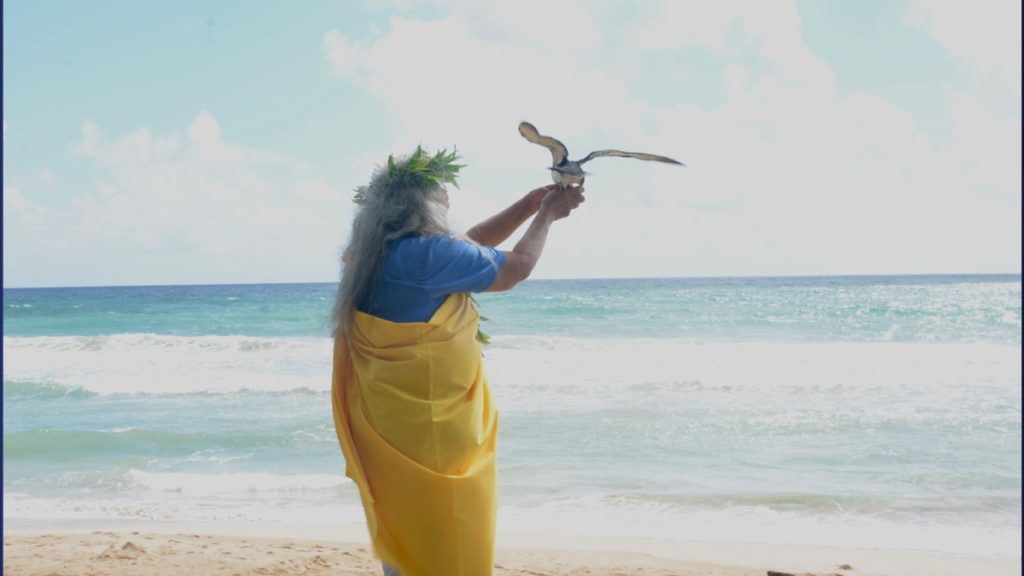 Kumu Sabra Kauka releases the first ʻAʻo bird on Thursday, October 16, 2025, at Lydgate Park, near the Kamalani Kai Bridge. (Photo Credit: Xiomara Yamileth/ Kaua'i Now)