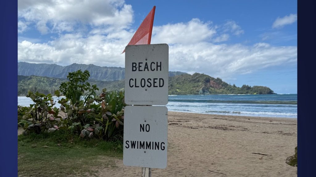 (Photo Credit: Xiomara Yamileth/ Kaua'i Now)