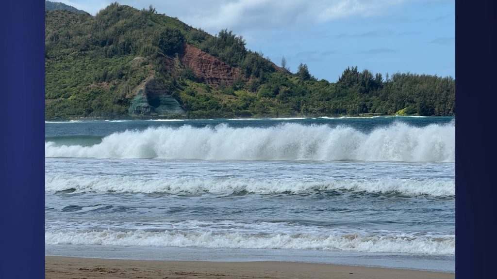 (Photo Credit: Xiomara Yamileth/ Kaua'i Now) 