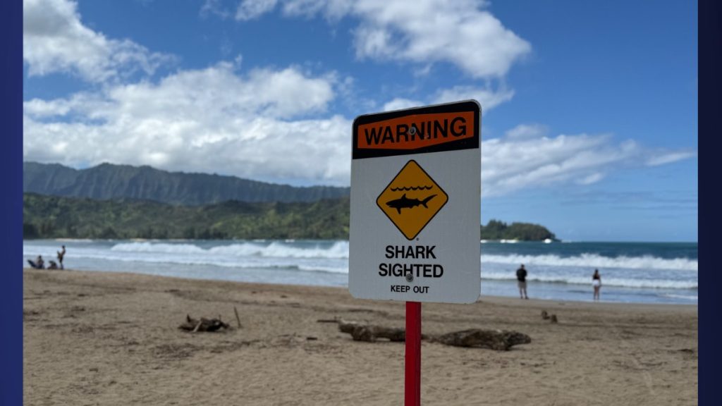 (Photo Credit: Xiomara Yamileth/ Kaua'i Now)