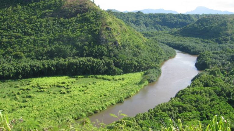 Nineteen visitors, which included 14 minors, were rescued from Uluwehi Trail on Thursday