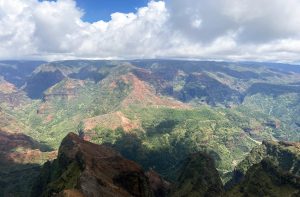 Most state parks, forest lands, campgrounds reopen after Hurricane Nolo