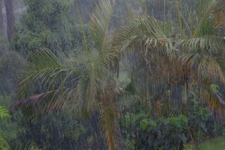 Only 6 locations around Kauaʻi collect above-average rainfall in June