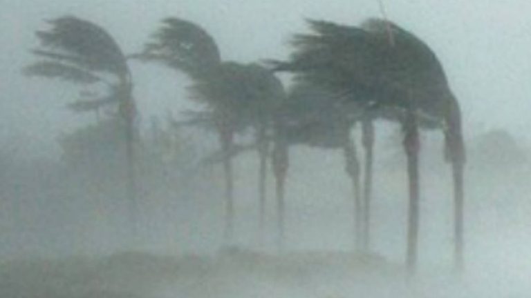 State encourages residents to expedite insurance claims after severe weather