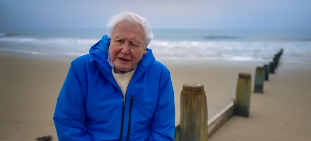 David Attenborough, at age 100, is still going strong with his documentary "Ocean with David Attenborough." (Screenshot from documentary)