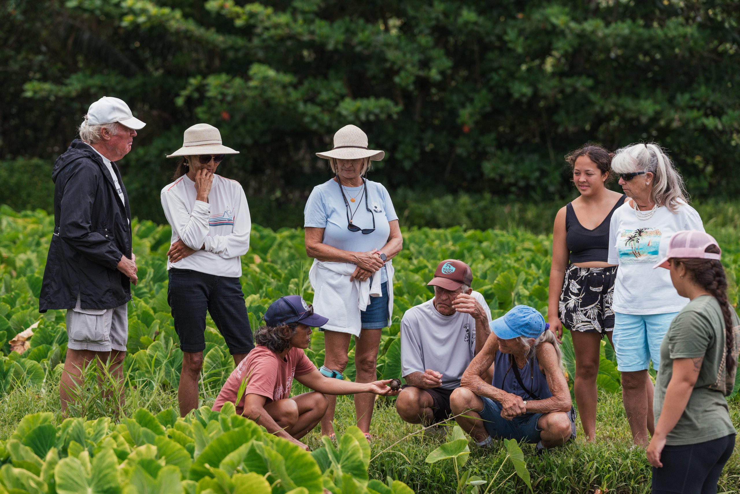 Three Kauaʻi programs to receive grant funding for promoting, preserving Native Hawaiian culture