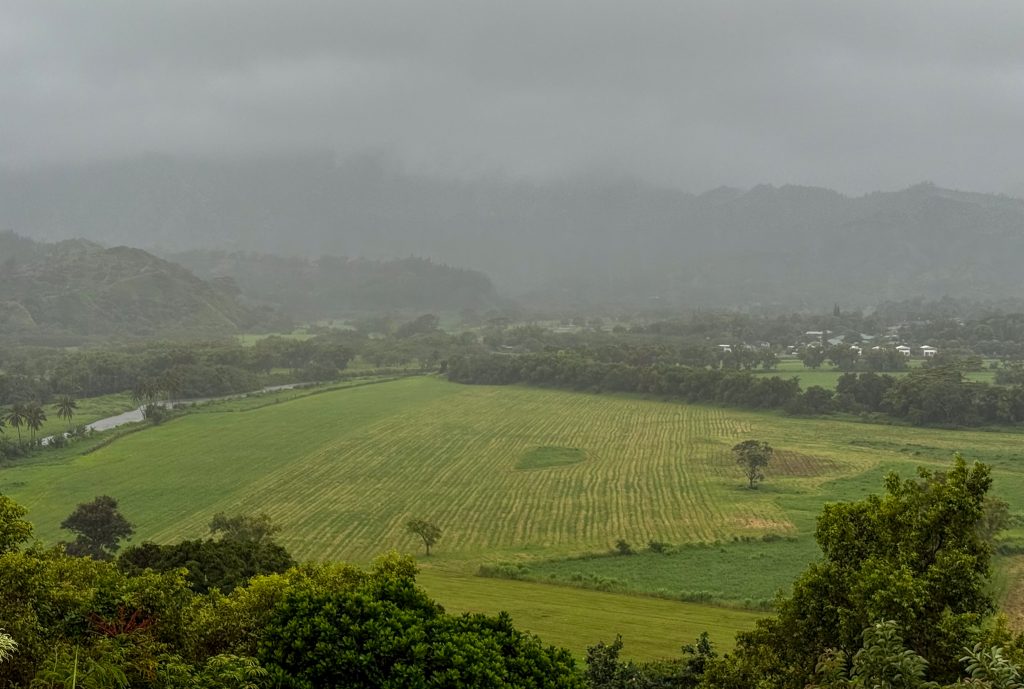A misty Hanalei as Tropical Storm Lala moved closer to Kauaʻi on the morning of Aug. 16, 2026. (Xiomara Yamileth/Kauaiʻi Now)