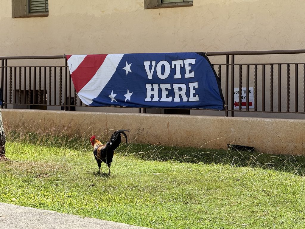 Voting ends at 7 p.m. on Saturday for the 2026 primary election in Hawaiʻi. (Xiomara Yamileth/Kauaʻi Now)