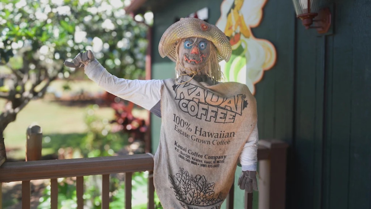 Kauaʻi Coffee marks new chapter with celebration following resolution of lease dispute
