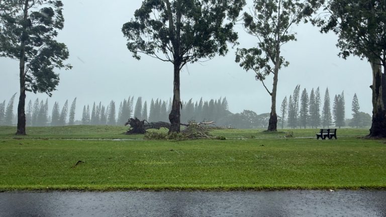 Kauaʻi faces widespread disruptions as Lala sweeps past with strong winds and rain