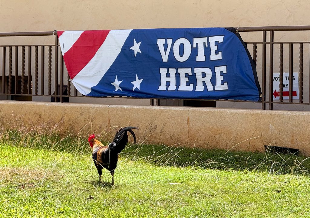 Voting ends at 7 p.m. on Saturday for the 2026 primary election in Hawaiʻi. (Xiomara Yamileth/Kauaʻi Now)