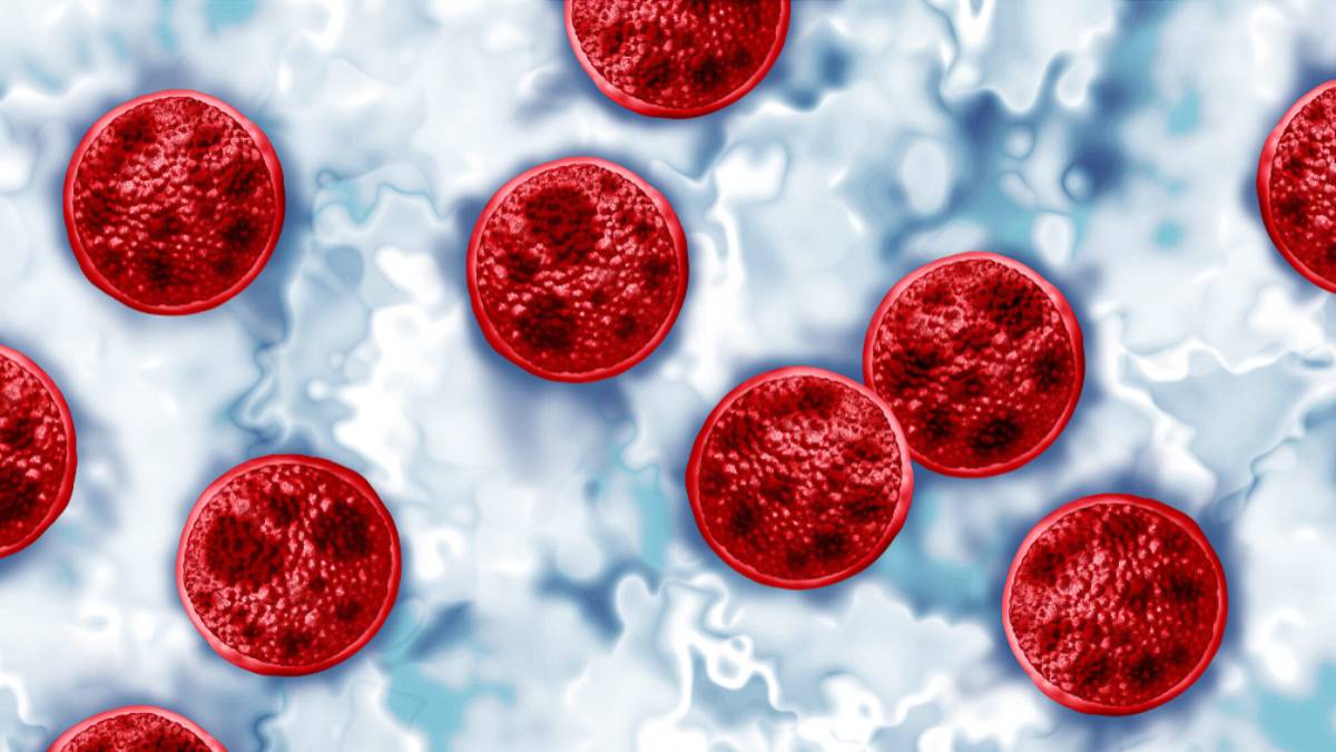 Cyclosporiasis is a foodborne parasitic illness caused by Cyclospora cayetanensis in contaminated food or water resulting in explosive diarrhea and digestive illness. Stock image