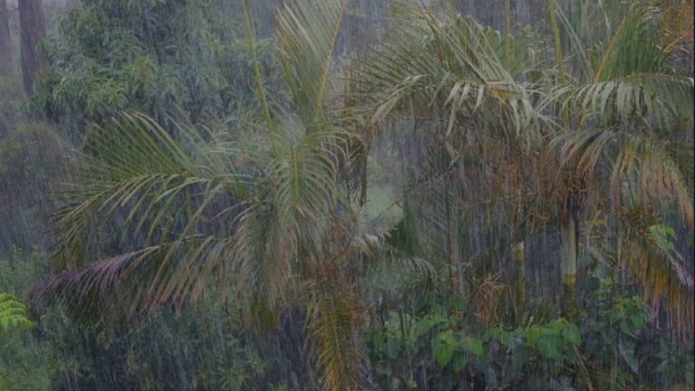 Public is encouraged to prepare for potential severe weather