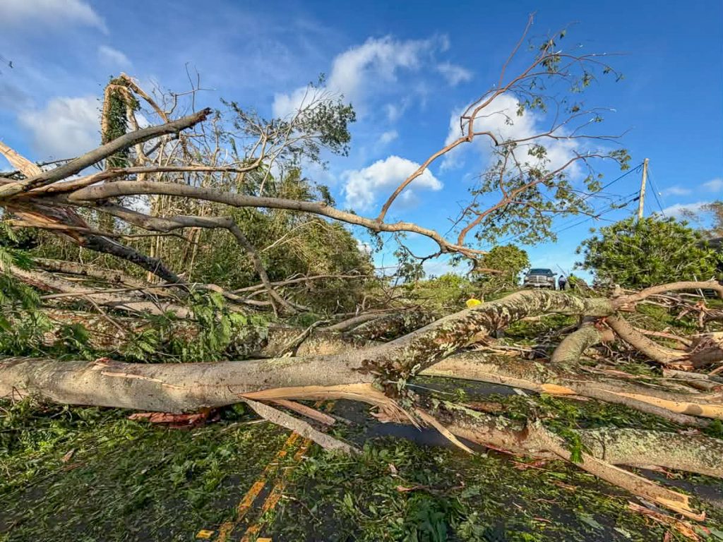 Kūhiō Highway at Kīlauea was blocked by several large downed trees forcing several cars to turn around Tuesday morning, Sept. 8, 2026. (Photo Credit: Pete Ghione)