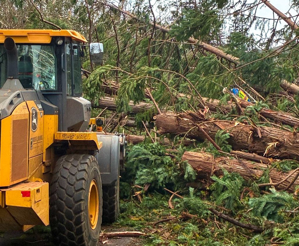 Damage from Hurricane Lowell in the Koke’e Area on Kauaʻi. Sept. 10, 2026 (Photo Credit: Hawaiʻi Department of Land and Natural Resources)