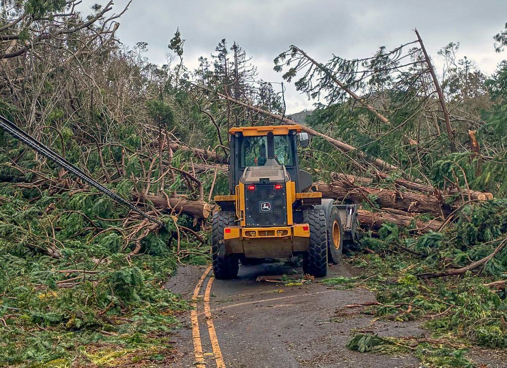 Damage from Hurricane Lowell in the Koke’e Area on Kauaʻi. Sept. 10, 2026 (Photo Credit: Hawaiʻi Department of Land and Natural Resources)