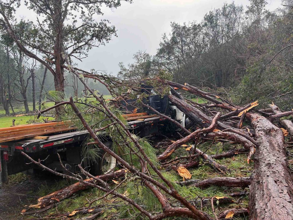 Damage from Hurricane Lowell in the Koke’e Area on Kauaʻi. Sept. 10, 2026 (Photo Credit: Hawaiʻi Department of Land and Natural Resources)