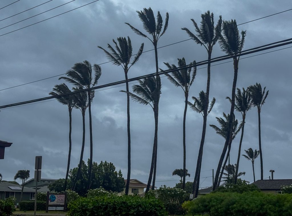 Hurricane Lowell brought high winds to Kauaʻi on Sept. 7, 2026. (Xiomara Yamileth/Kauaʻi Now)