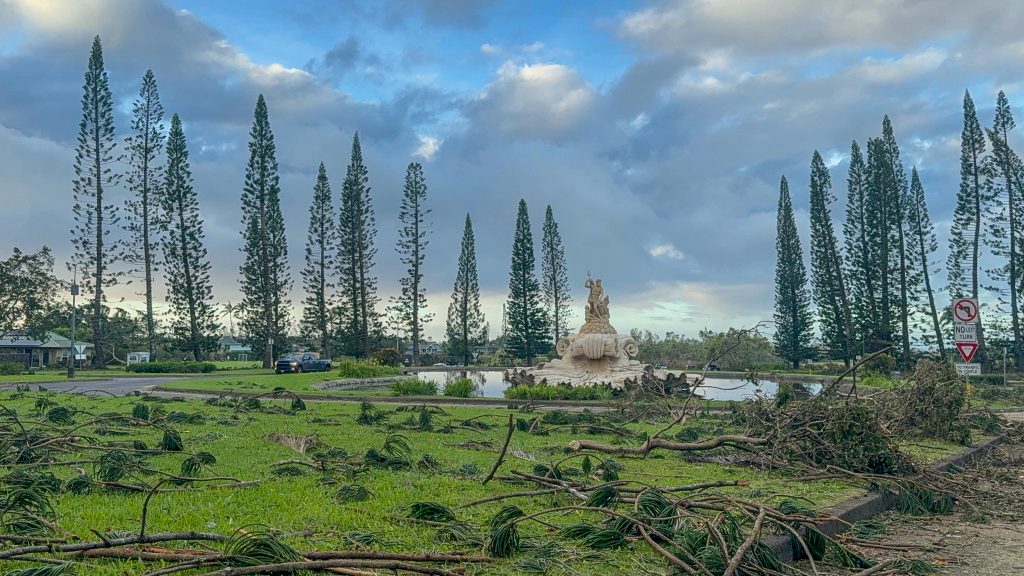 The Princeville fountain survived Hurricane Lowell, but is surrounded by downed trees. Sept. 8, 2026 (Xiomara Yamileth/Kauaʻi Now)