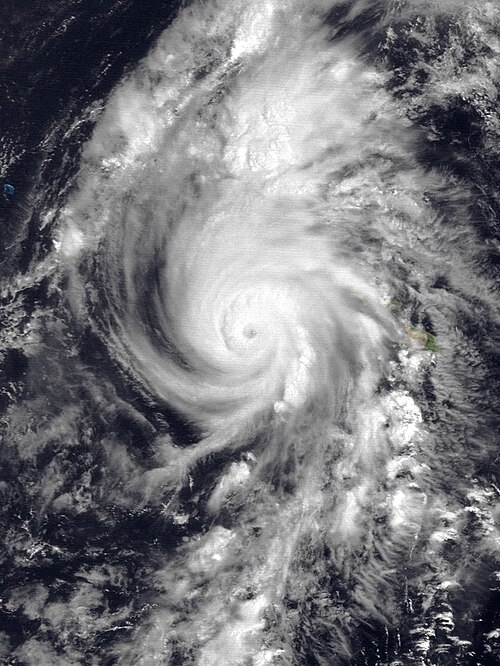 Hurricane ʻIniki was a monster Category 4 storm when it struck Kauaʻi in 1992. (Photo: Wikipedia)