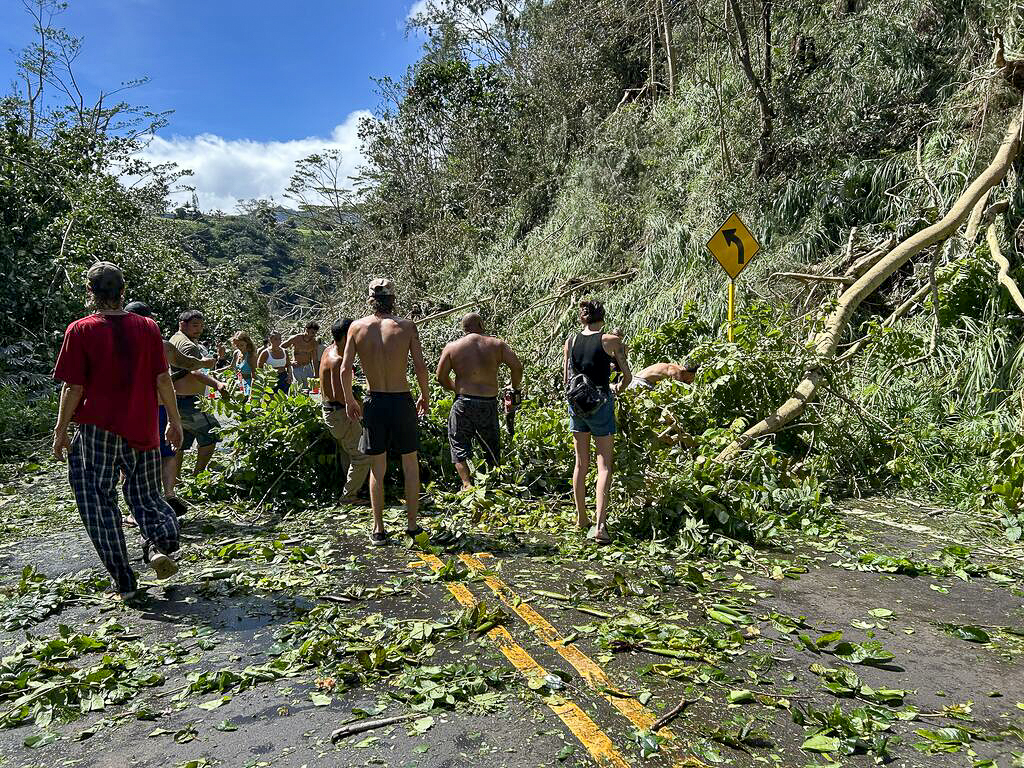 Community members and visitors worked to clear downed trees from Princeville Airport to Kalihiwai Ridge after Hurricane Lowell brought damaging winds to Kauaʻi. Sept. 8, 2026 (Xiomara Yamileth/Kauaʻi Now).