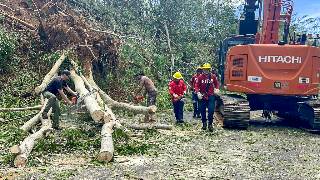 Fire crews arrived on Tuesday morning to assist community members and visitors clears the downed trees from Princeville Airport to Kalihiwai Ridge after Hurricane Lowell brought damaging winds to Kauaʻi. Sept. 8, 2026 (Xiomara Yamileth/Kauaʻi Now).
