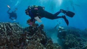 Hurricane Lowell triggers another payout of Hawaiʻi’s first-ever Reef insurance, the second time in 3 weeks
