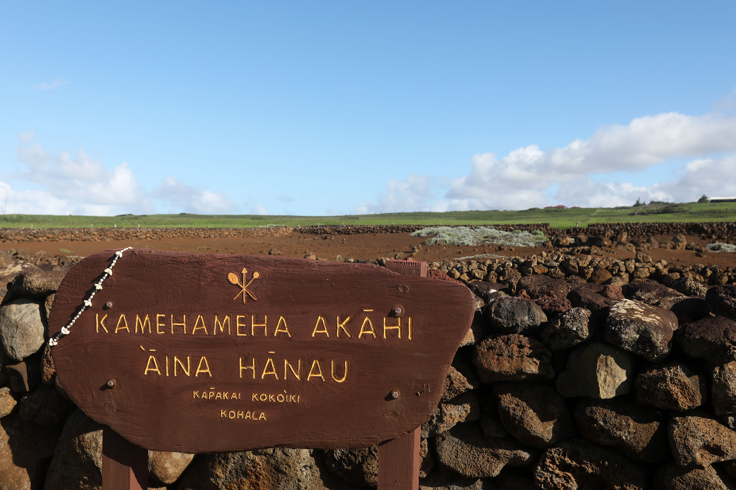 Native Hawaiian nonprofits petition to amend 27 rules pertaining to iwi kūpuna, burial sites
