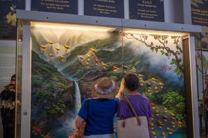 Bishop Museum offers cultural education through elaborate exhibitions, weekly programs