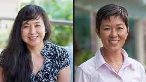 New study aims to understand which early-stage breast cancers could become invasive